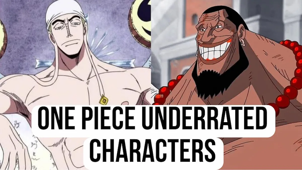One Piece Underrated Character